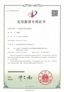Patent: A Multi wire Terminal Insertion Connection Structure