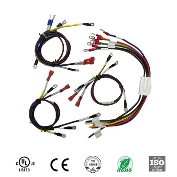 Custom Kind C 01